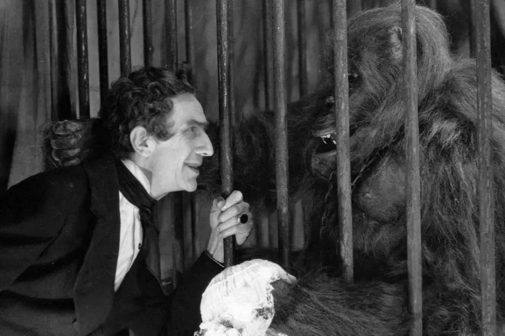 Murders in the Rue Morgue