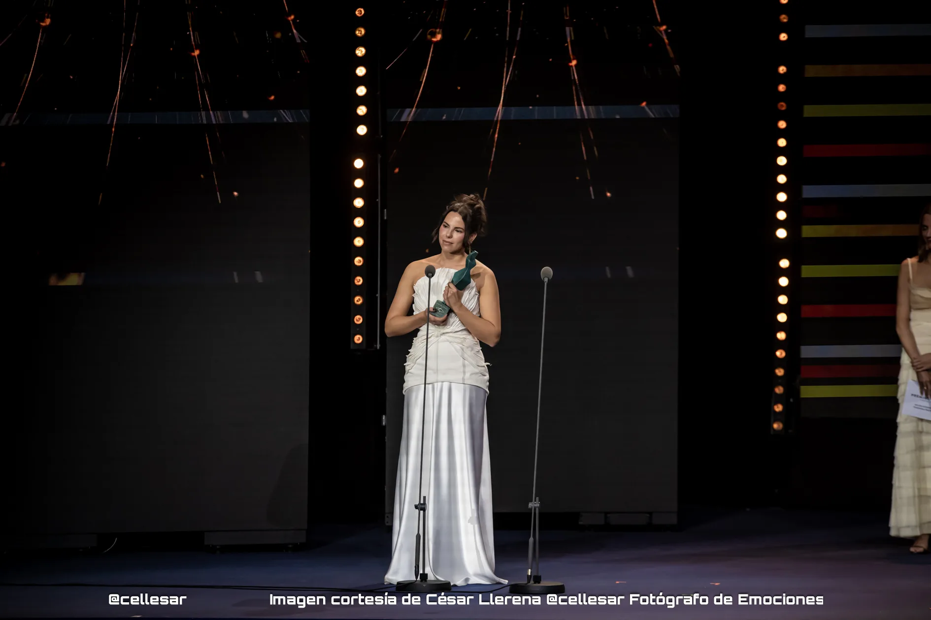 premios carmen 2026 ganadores paula diaz el cielo de los animales