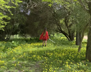 critica-ahmar-siempre-quedaran-cenizas