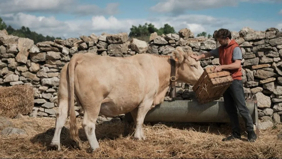 cowgirl-critica